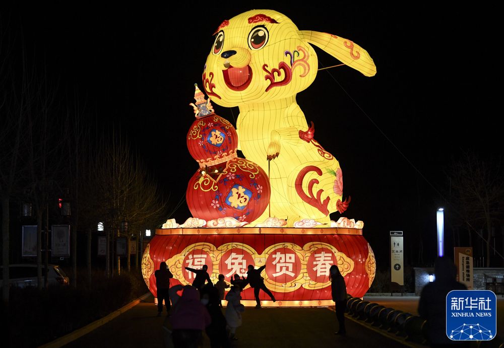 
杭州各大医院黄牛代挂号电话票贩子号贩子网上预约挂号,住院检查加快,镜头里的中国年：兔年拍“兔”