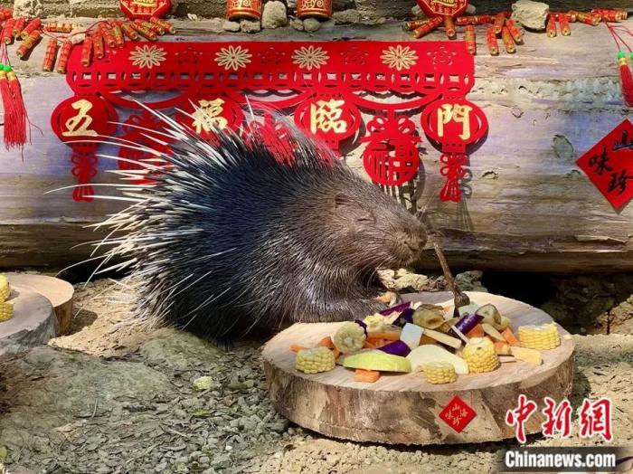 
广东省中医院黄牛代挂号电话票贩子号贩子网上预约挂号,住院检查加快,这个春节，宝岛年味浓