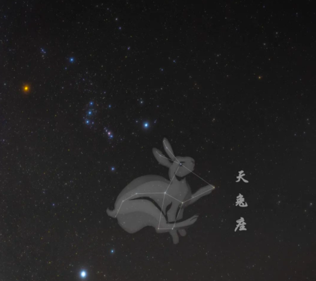 
江苏省中西医结合医院黄牛代挂号电话票贩子号贩子网上预约挂号,住院检查加快,兔年寻兔！原来它们有这么多美好的寓意
