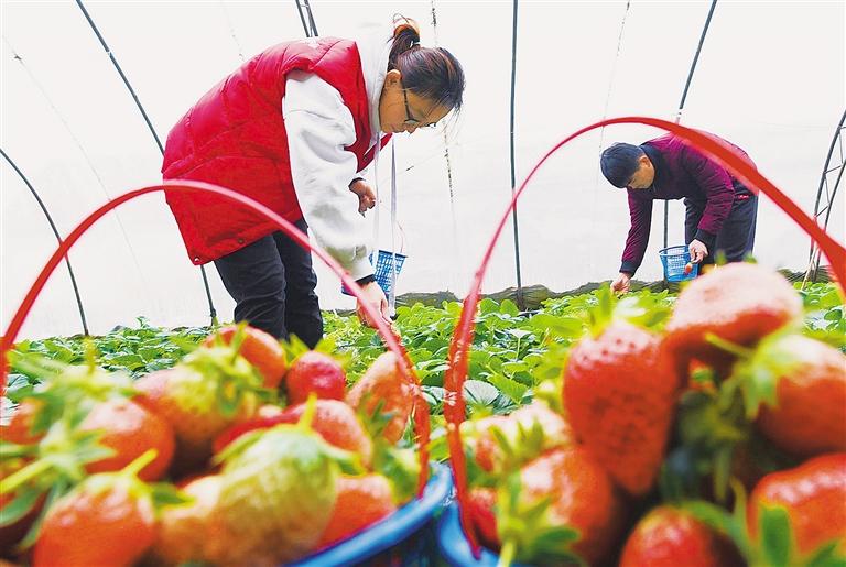 
杭州市富阳中医骨伤医院黄牛代挂号电话票贩子号贩子网上预约挂号,住院检查加快,春节出游乐融融