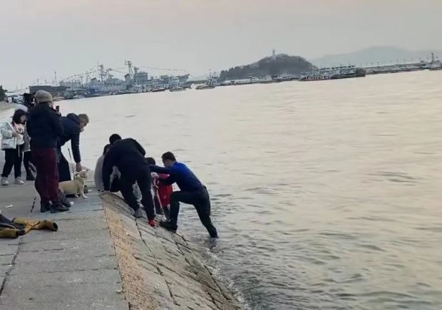 
杭州市七医院黄牛代挂号电话票贩子号贩子网上预约挂号,住院检查加快,跳海救人的“蓝衣大哥”，找到了！