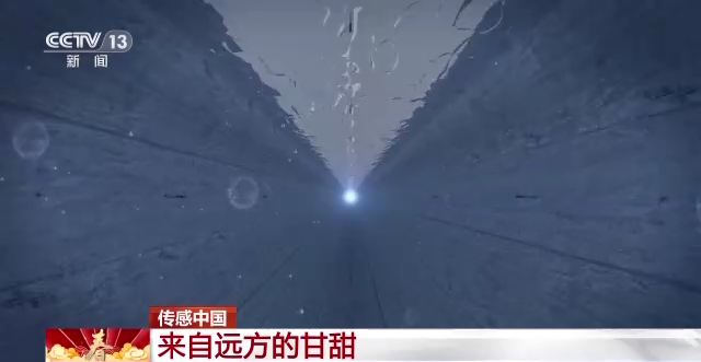 
中山一院黄牛代挂号电话票贩子号贩子网上预约挂号,住院检查加快,传感中国丨来自远方的甘甜