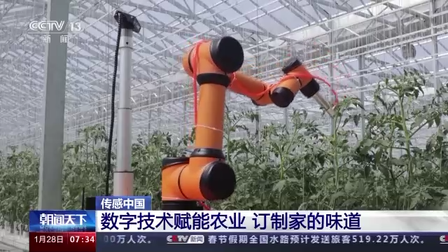 
上海肿瘤医院黄牛代挂号电话票贩子号贩子网上预约挂号,住院检查加快,传感中国丨五分甜一分酸 订制家的味道