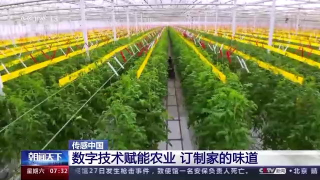 
上海肿瘤医院黄牛代挂号电话票贩子号贩子网上预约挂号,住院检查加快,传感中国丨五分甜一分酸 订制家的味道