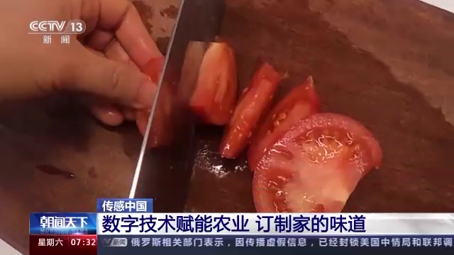 
上海肿瘤医院黄牛代挂号电话票贩子号贩子网上预约挂号,住院检查加快,传感中国丨五分甜一分酸 订制家的味道