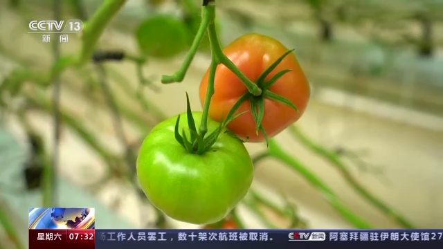 
上海肿瘤医院黄牛代挂号电话票贩子号贩子网上预约挂号,住院检查加快,传感中国丨五分甜一分酸 订制家的味道