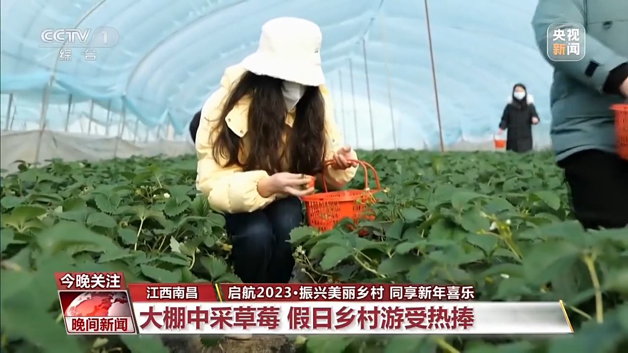 
杭州市三医院黄牛代挂号电话票贩子号贩子网上预约挂号,住院检查加快,振兴美丽乡村 同享新年喜乐！假日乡村游受热捧→