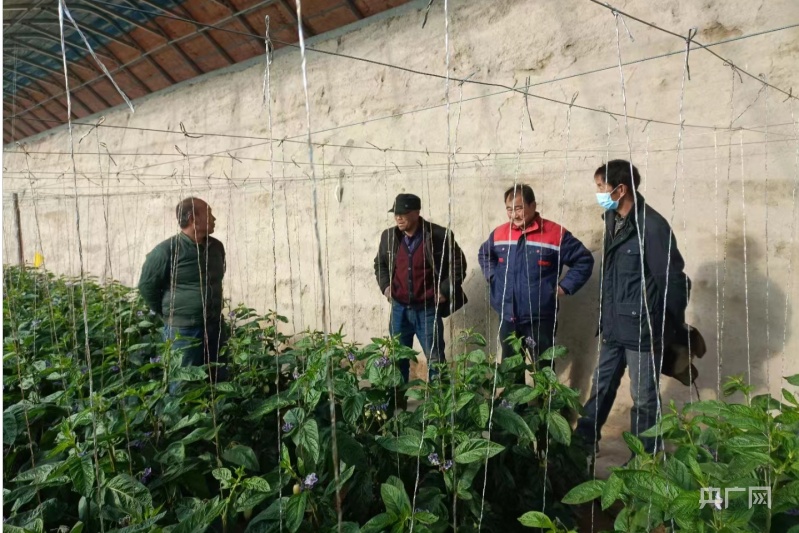 
天津肿瘤医院黄牛代挂号电话票贩子号贩子网上预约挂号,住院检查加快,甘肃民勤：沙乡大婶有本“日记”写满村落故事