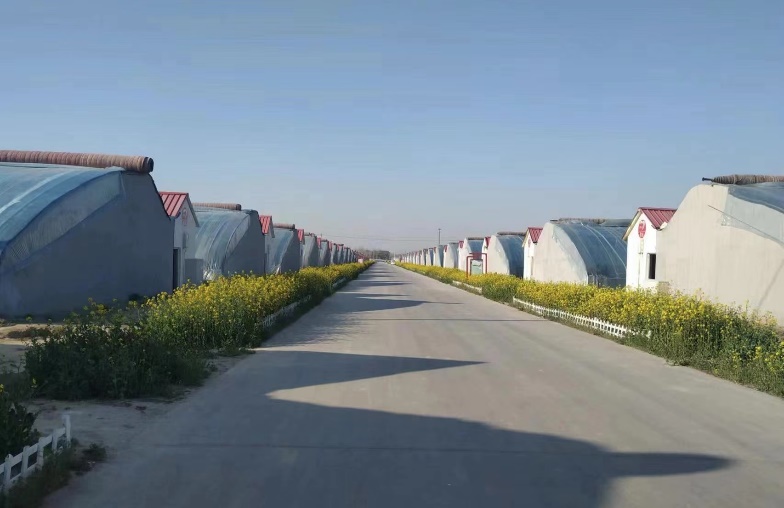
上海第十人民医院黄牛代挂号电话票贩子号贩子网上预约挂号,住院检查加快,新春走基层｜山东龙堌：聚力乡村产业 助力村民就近就业