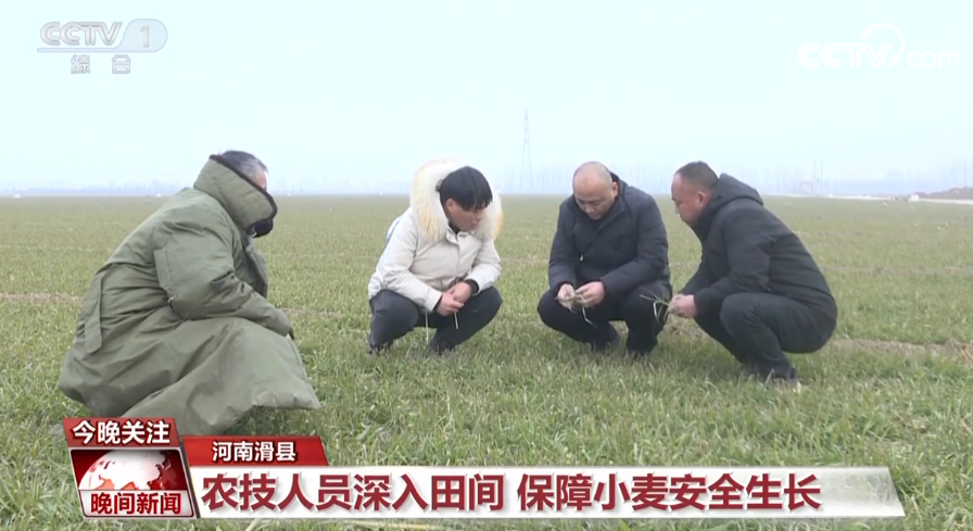 
北京儿童医院黄牛代挂号电话票贩子号贩子网上预约挂号,住院检查加快,开好局起好步 实干开启新一年