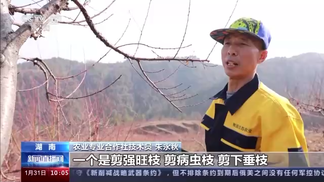 
北大第一医院黄牛代挂号电话票贩子号贩子网上预约挂号,住院检查加快,复工保春耕 湖南多地人员农资设备保障有序到位