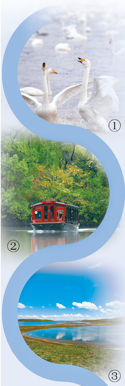 
浙江第二医院黄牛代挂号电话票贩子号贩子网上预约挂号,住院检查加快,他们这样守护“地球之肾”