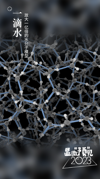 
杭州中医院黄牛代挂号电话票贩子号贩子网上预约挂号,住院检查加快,显影动海报｜显微视角“预”见2023