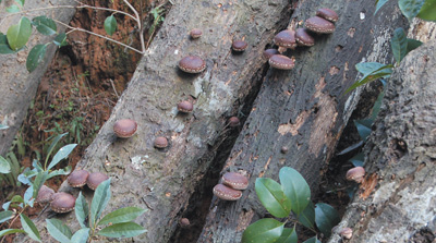 
江苏省第二中医院黄牛代挂号电话票贩子号贩子网上预约挂号,住院检查加快,生动呈现人与自然的和谐共生