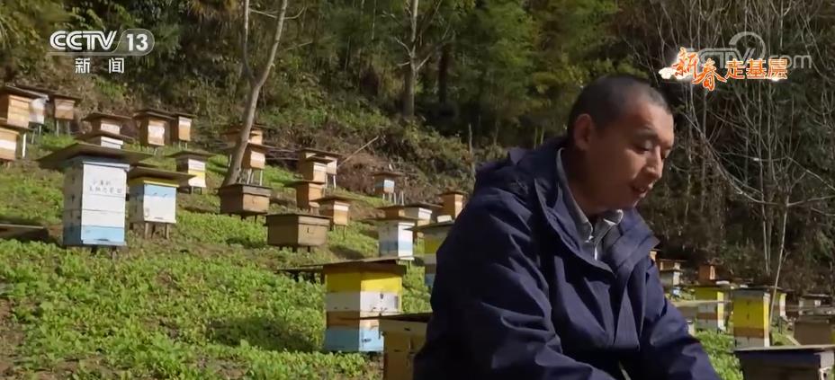 
天津眼科医院黄牛代挂号电话票贩子号贩子网上预约挂号,住院检查加快,新春走基层 | 小蜜蜂守护大熊猫