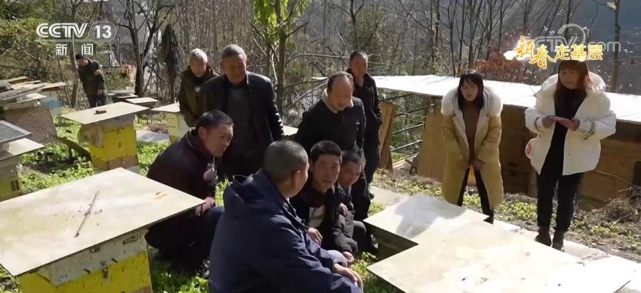 
天津眼科医院黄牛代挂号电话票贩子号贩子网上预约挂号,住院检查加快,新春走基层 | 小蜜蜂守护大熊猫