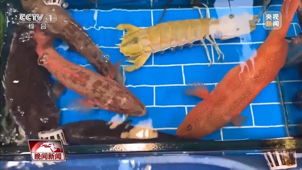 
江苏省人民医院黄牛代挂号电话票贩子号贩子网上预约挂号,住院检查加快,南北方的年货有什么不同？一起感受浓浓年味