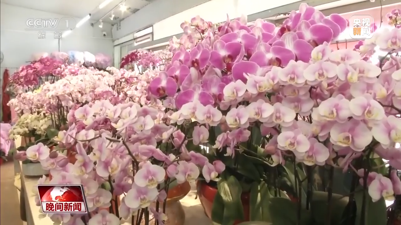 
江苏省人民医院黄牛代挂号电话票贩子号贩子网上预约挂号,住院检查加快,南北方的年货有什么不同？一起感受浓浓年味