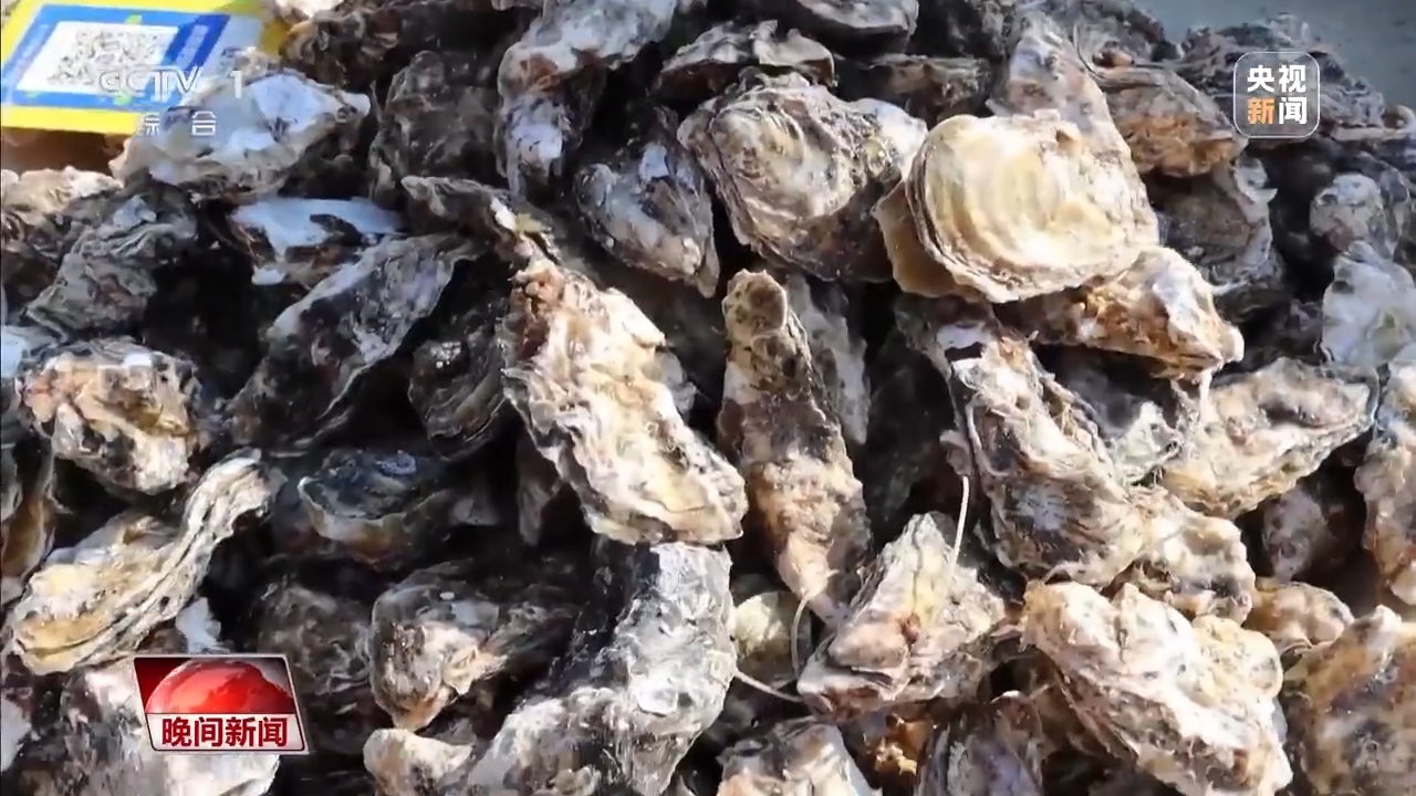 
江苏省人民医院黄牛代挂号电话票贩子号贩子网上预约挂号,住院检查加快,南北方的年货有什么不同？一起感受浓浓年味