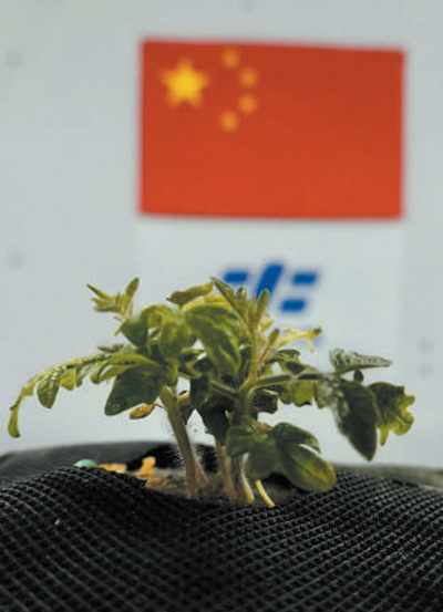 
上海各大医院黄牛代挂号电话票贩子号贩子网上预约挂号,住院检查加快,筑梦天宫 自信自强（新时代画卷）