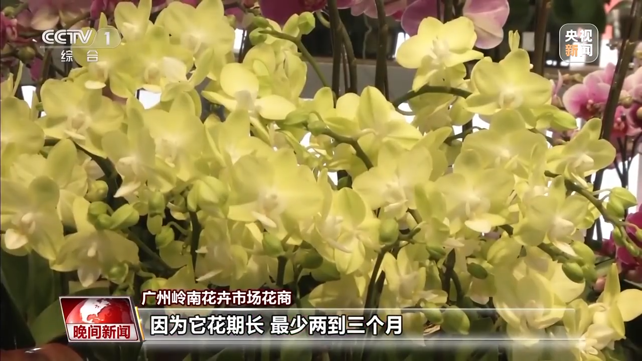 
江苏省人民医院黄牛代挂号电话票贩子号贩子网上预约挂号,住院检查加快,南北方的年货有什么不同？一起感受浓浓年味