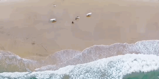 
浙江大学邵逸夫医院黄牛代挂号电话票贩子号贩子网上预约挂号,住院检查加快,揭秘！如果你在古代出海航行，靠什么回家？