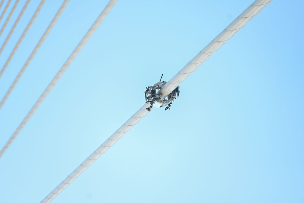 
中国医学科学院肿瘤医院黄牛代挂号电话票贩子号贩子网上预约挂号,住院检查加快,新华全媒+|守护跨海大桥的春运