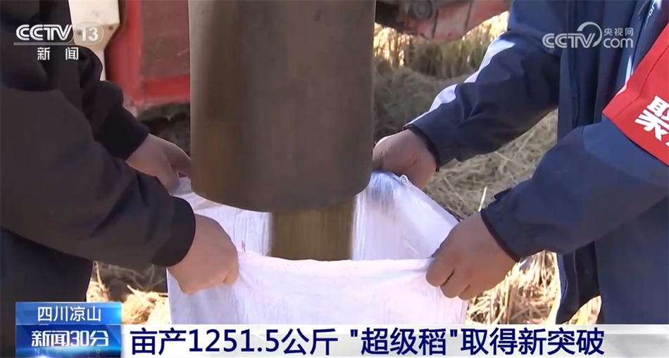 
首都医科大学附属北京口腔医院黄牛代挂号电话票贩子号贩子网上预约挂号,住院检查加快,五谷丰登粮满仓 全国多地秋种忙