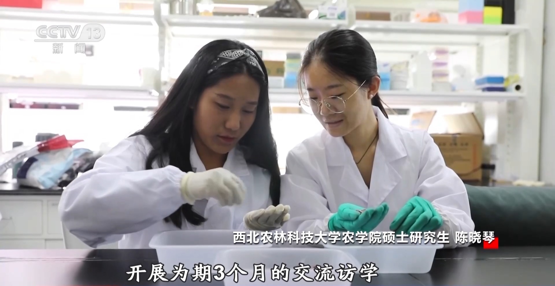 
北京大学第六医院黄牛代挂号电话票贩子号贩子网上预约挂号,住院检查加快,双向奔赴！“一带一路”架起教育“桥梁”
