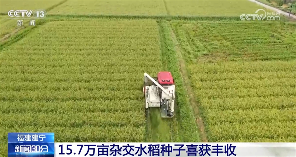 
首都医科大学附属北京口腔医院黄牛代挂号电话票贩子号贩子网上预约挂号,住院检查加快,五谷丰登粮满仓 全国多地秋种忙