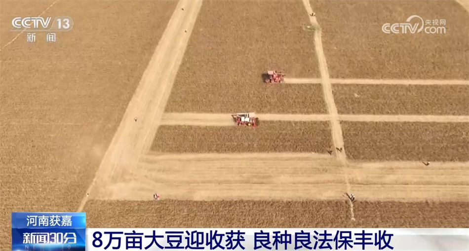 
首都医科大学附属北京口腔医院黄牛代挂号电话票贩子号贩子网上预约挂号,住院检查加快,五谷丰登粮满仓 全国多地秋种忙