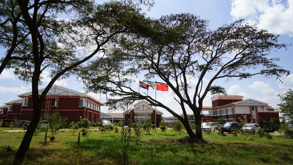 
天津肿瘤医院黄牛代挂号电话票贩子号贩子网上预约挂号,住院检查加快,“一带一路”高峰论坛丨特稿：共建清洁美丽世界——“一带一路”绿色合作十年发展观察