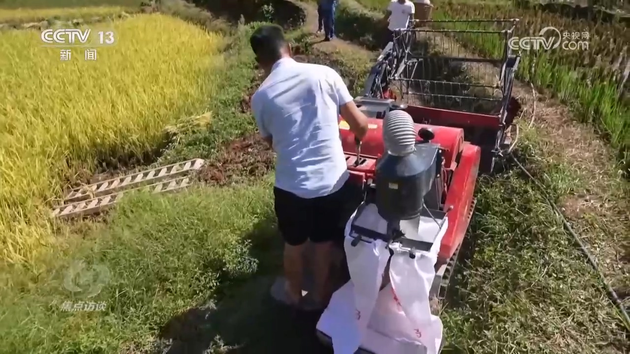 
浙江省同德医院黄牛代挂号电话票贩子号贩子网上预约挂号,住院检查加快,焦点访谈：绘就和美乡村新画卷