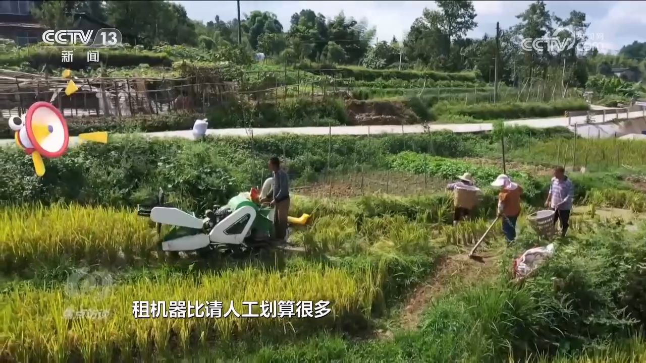 
浙江省同德医院黄牛代挂号电话票贩子号贩子网上预约挂号,住院检查加快,焦点访谈：绘就和美乡村新画卷