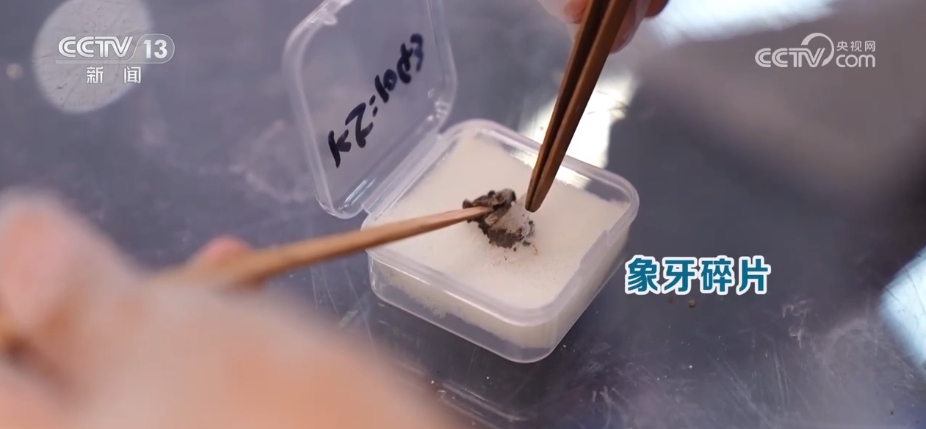 
广州中医院黄牛代挂号电话票贩子号贩子网上预约挂号,住院检查加快,太会整活儿，这些“黑科技”让“沉默”的文物“开口”讲话
