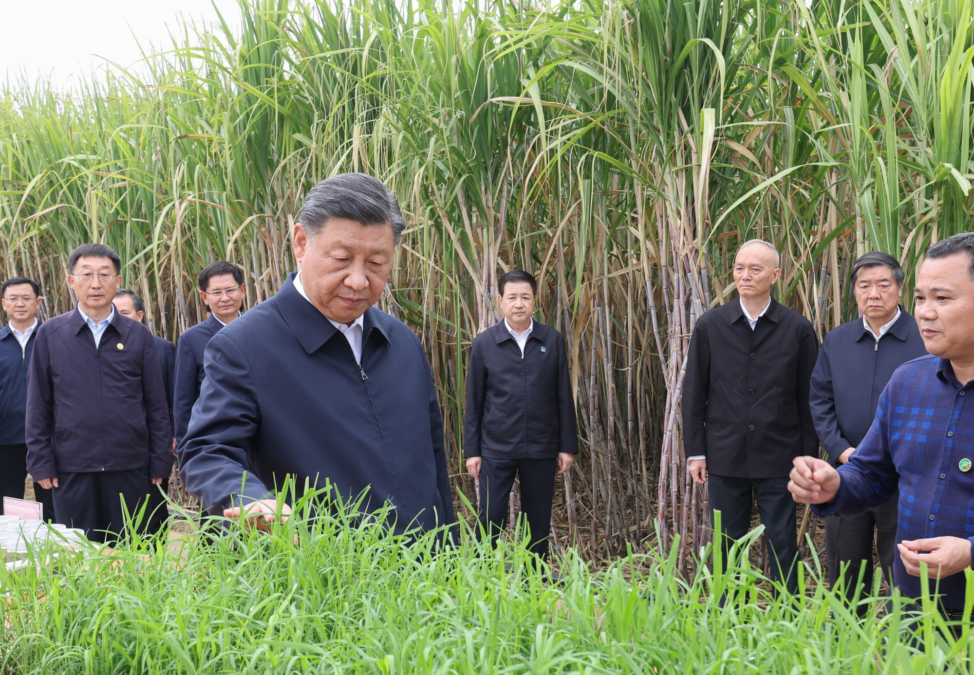 
中国人民解放军总医院黄牛代挂号电话票贩子号贩子网上预约挂号,住院检查加快,一见·从考察乡村产业看总书记的“三农”情怀