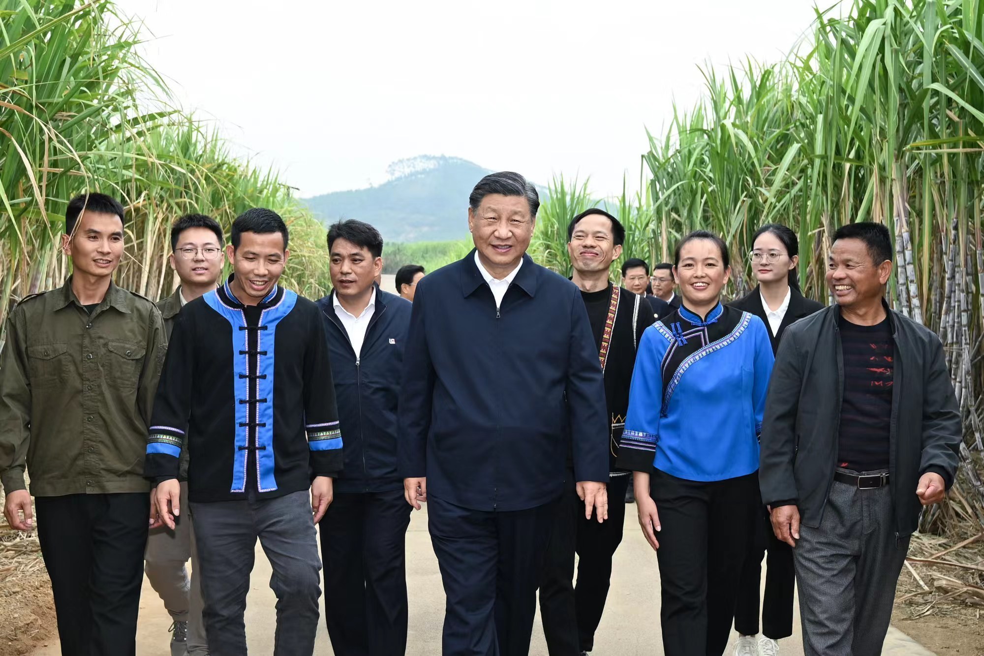 
中国人民解放军总医院黄牛代挂号电话票贩子号贩子网上预约挂号,住院检查加快,一见·从考察乡村产业看总书记的“三农”情怀