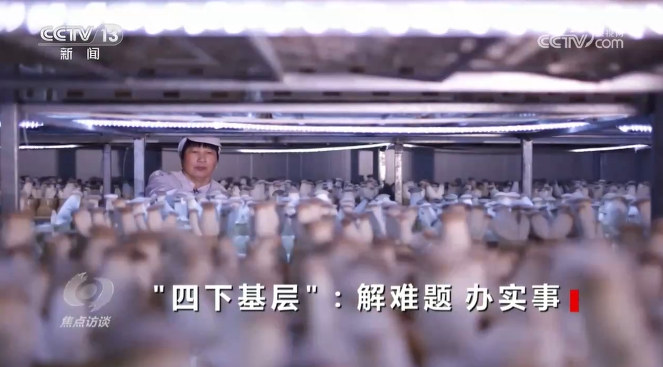
北京各大医院黄牛代挂号电话票贩子号贩子网上预约挂号,住院检查加快,焦点访谈｜“四下基层”：解难题 办实事