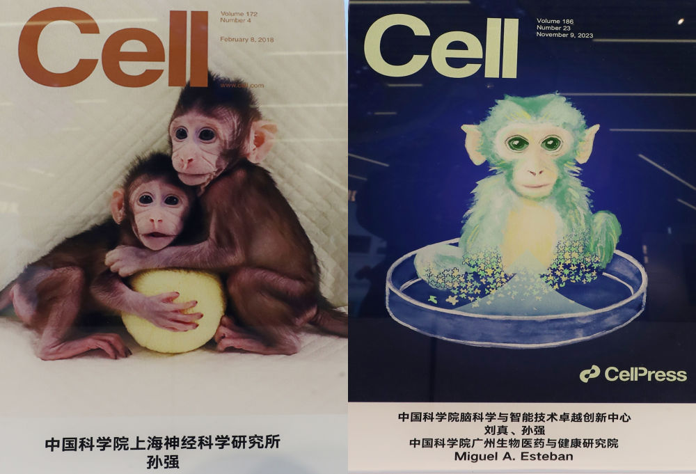 
首都医科院整形外科医院黄牛代挂号电话票贩子号贩子网上预约挂号,住院检查加快,上海封面，中国力量——从国际顶刊成果看中国创新