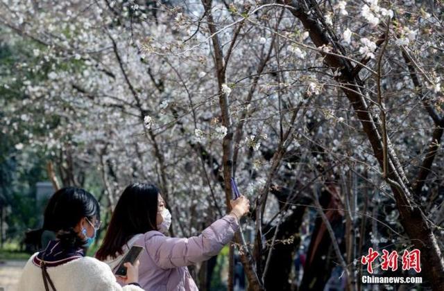 
江苏省人民医院黄牛代挂号电话票贩子号贩子网上预约挂号,住院检查加快,高校对校外人员开放了？专家：应逐步适度恢复对外开放