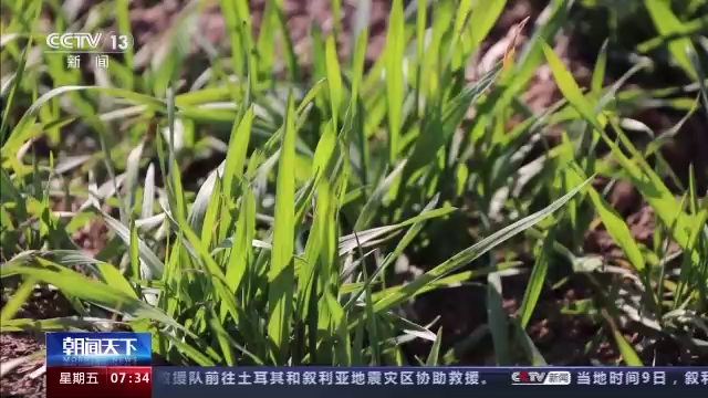 
首都医科院整形外科医院黄牛代挂号电话票贩子号贩子网上预约挂号,住院检查加快,全国冬小麦春管陆续展开