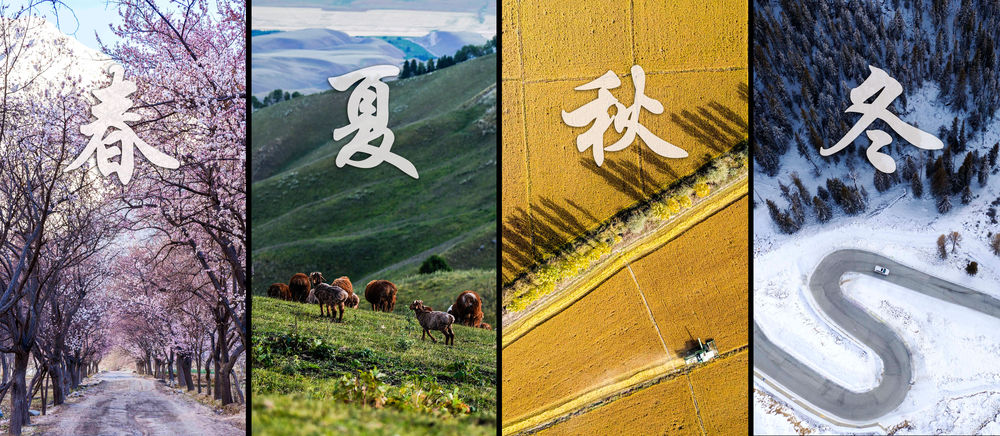 
北京北大口腔医院黄牛代挂号电话票贩子号贩子网上预约挂号,住院检查加快,新疆四季丨冬——“冰火”二重奏