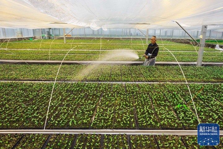 
浙江口腔医院黄牛代挂号电话票贩子号贩子网上预约挂号,住院检查加快,春来农事忙