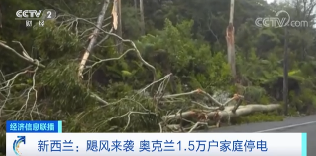 
广州中山三医院黄牛代挂号电话票贩子号贩子网上预约挂号,住院检查加快,陆海空交通大规模停摆！飓风来袭！这里民防部门呼吁：非必要不出门！