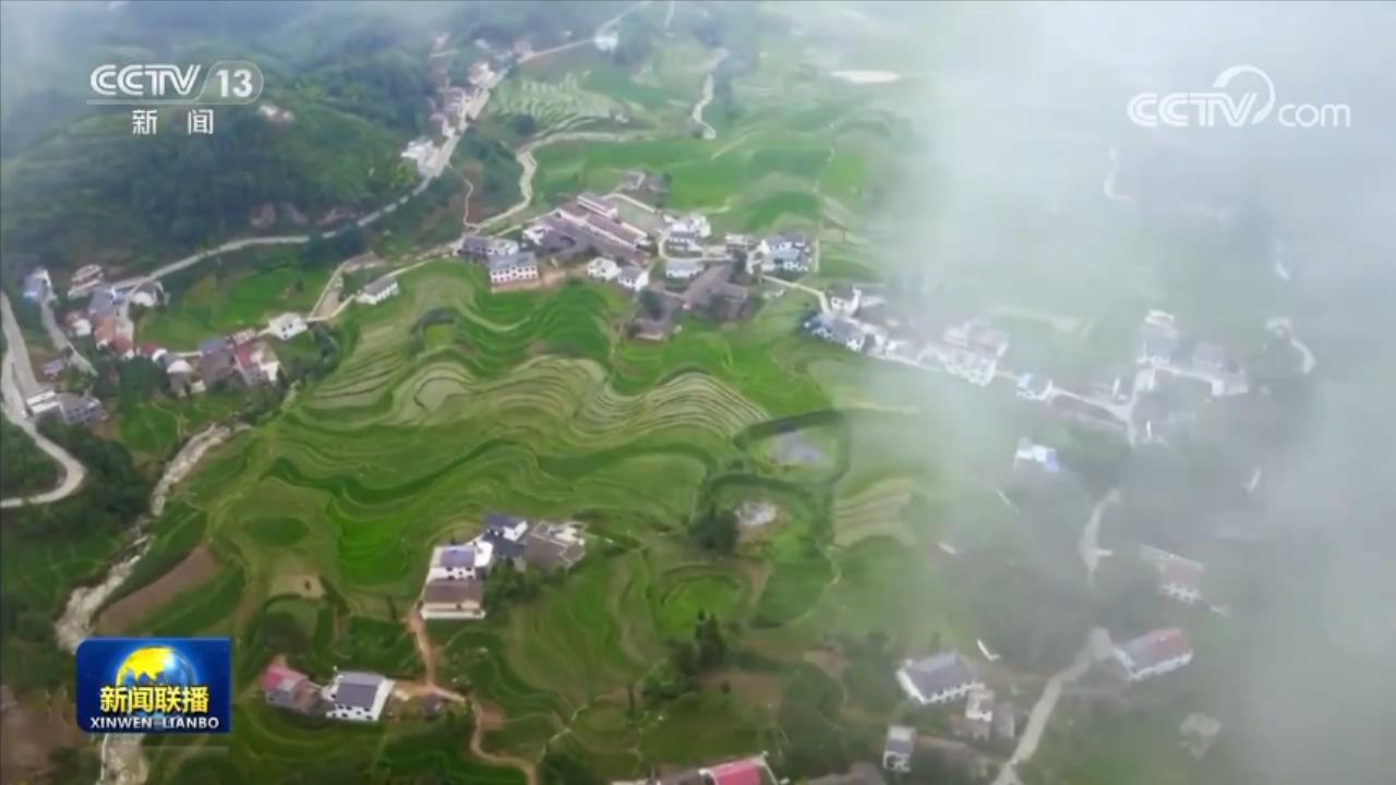 
北医三院黄牛代挂号电话票贩子号贩子网上预约挂号,住院检查加快,【新思想引领新征程】全面推进乡村振兴 加快建设农业强国