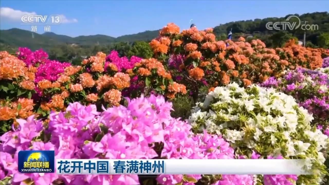 
浙江省中医院黄牛代挂号电话票贩子号贩子网上预约挂号,住院检查加快,花开中国 春满神州