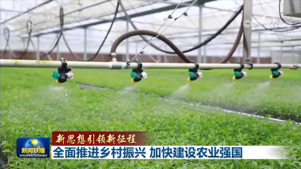 
北医三院黄牛代挂号电话票贩子号贩子网上预约挂号,住院检查加快,【新思想引领新征程】全面推进乡村振兴 加快建设农业强国