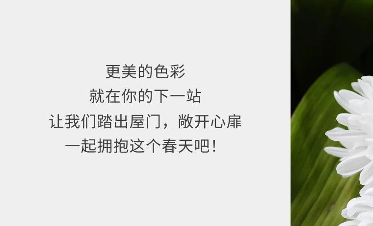 
杭州市儿童医院黄牛代挂号电话票贩子号贩子网上预约挂号,住院检查加快,新华全媒+ | 缤纷色彩，尽在春日里的调色盘！
