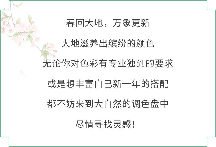 
杭州市儿童医院黄牛代挂号电话票贩子号贩子网上预约挂号,住院检查加快,新华全媒+ | 缤纷色彩，尽在春日里的调色盘！