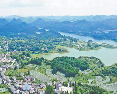
上海中山医院黄牛代挂号电话票贩子号贩子网上预约挂号,住院检查加快,植绿护绿 春意盎然（美丽中国·春天来了①）